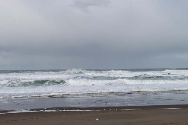 Thinking about the sea.[sea1.JPG]